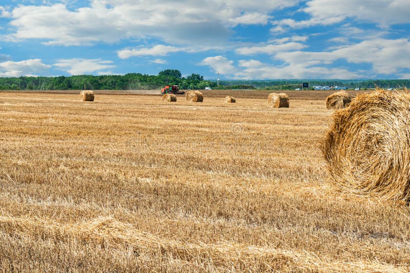 Mowing of Grain Crops and Piling Hay and Straw into Rolls Stock Image