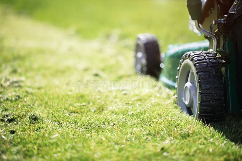 Mowing the grass royalty free stock image