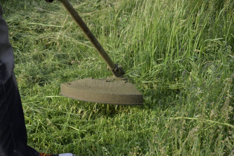 Mowing Green Grass Using a Fishing Line Trimmer Stock Photo Image of