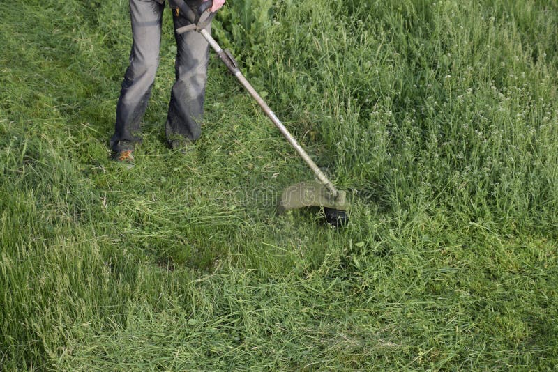 Mowing Green Grass Using a Fishing Line Trimmer Stock Image Image of