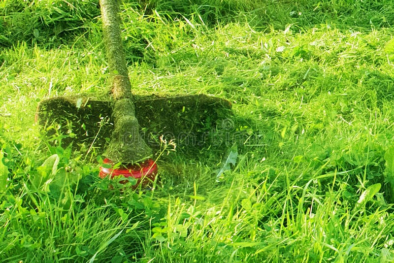 Wild grass cutting machine cheap