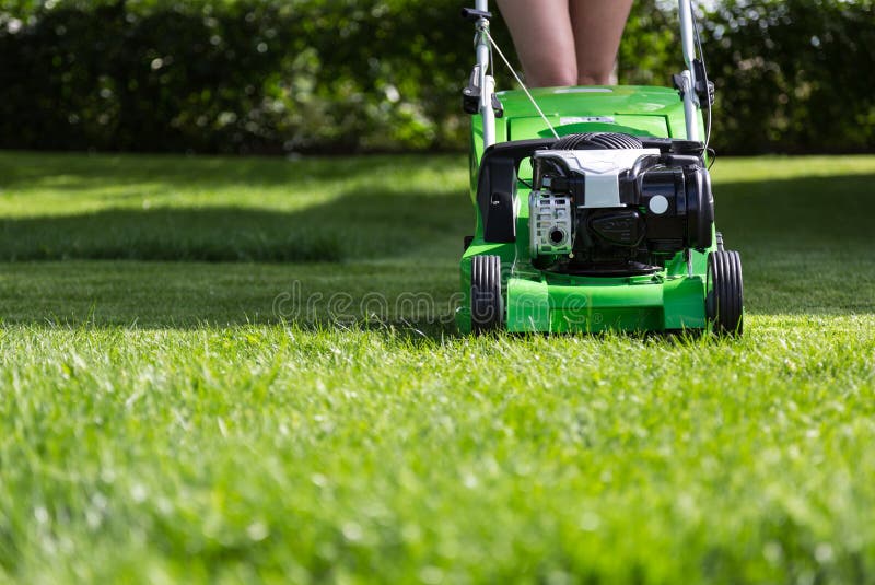 Mowing the lawn. stock photo