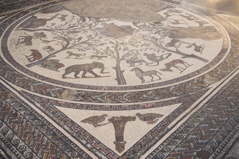 Mozaic roman de marmură la volubilis în Maroc royalty free stock photography