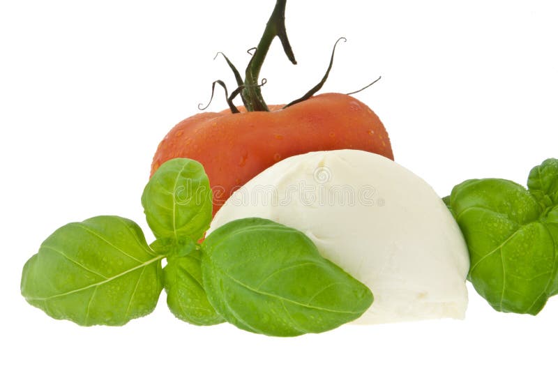 Mozzarella Cheese, Tomato and Fresh Basil Stock Photo Image of basil