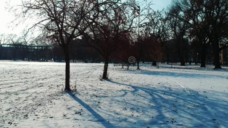 Mrożony widok na krajobraz lokalnego parku chicago pokrytego śniegiem