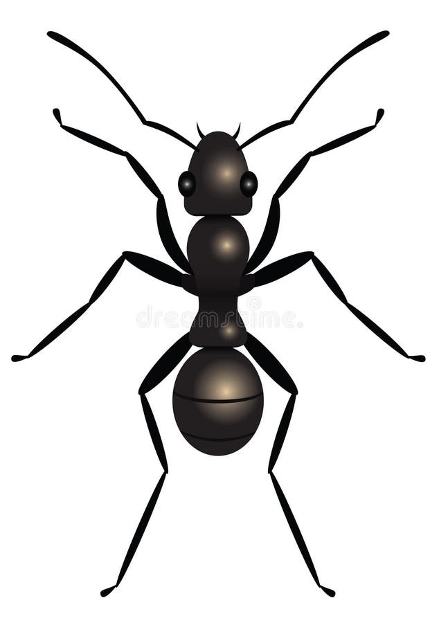 Download apache ant 1.10.7 Download apache ant 1.10.7