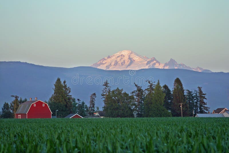 Mt Baker