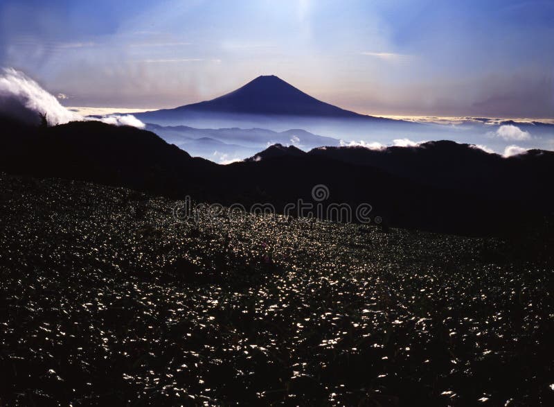 Mt fuji-398