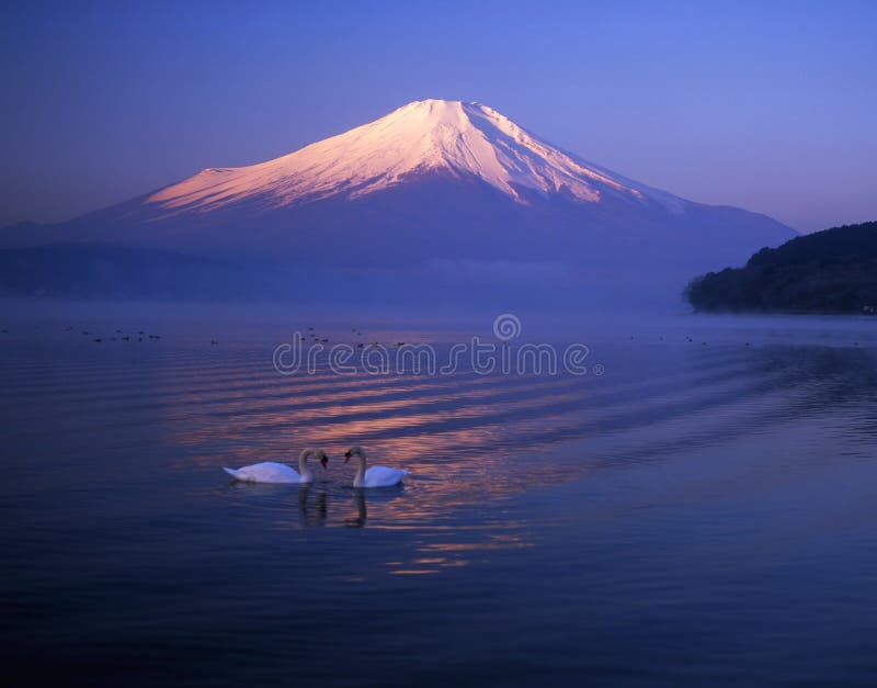 Mt fuji