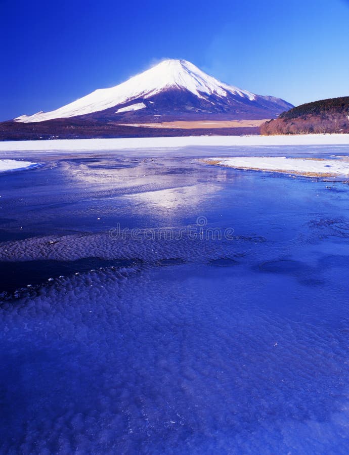 Mt fuji-162 stock photo. Image of floral, flowers, fuji - 4587196