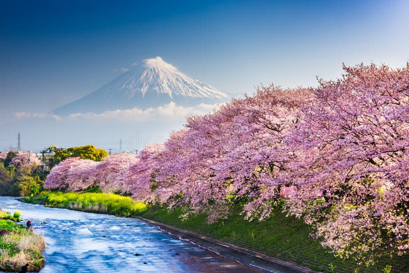 Mt. Fuji, Japan from Shizuoka Prefecture in Spring Stock Photo - Image ...