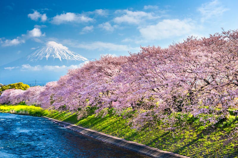 Mt Fuji, Japón de la prefectura de Shizuoka en primavera fotografía de archivo libre de regalías
