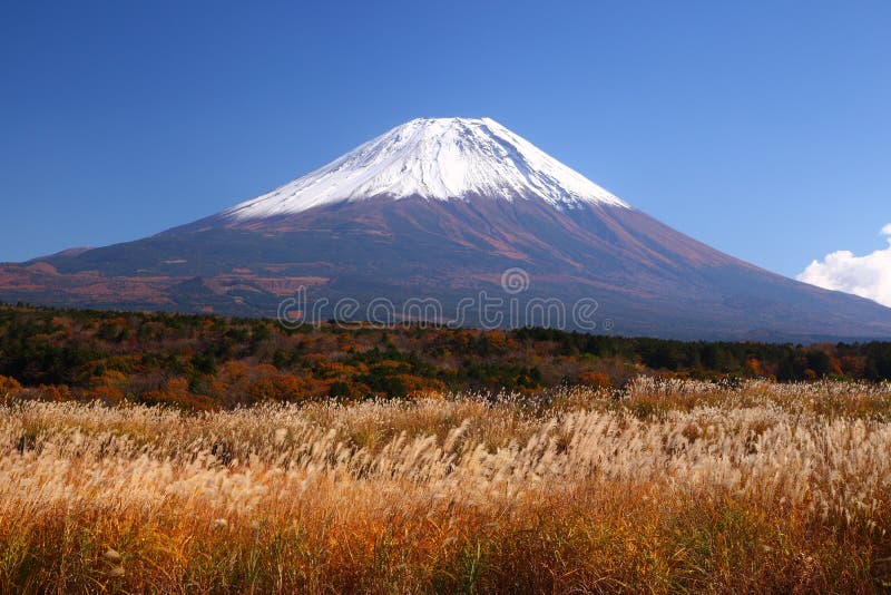 Mt. Fuji z Japońską srebną trawą