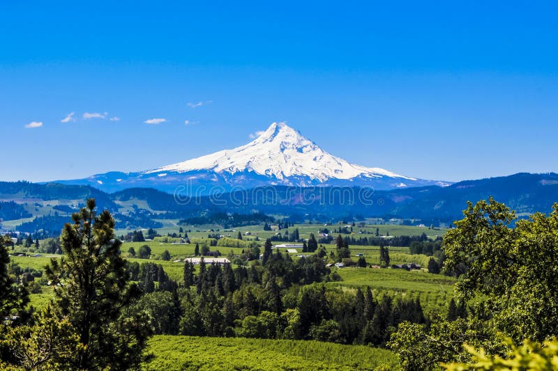 Mt Hood Oregon Summer Stock Photos Download 408 Royalty Free Photos