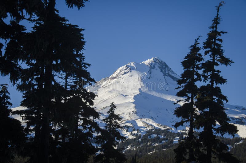 Mt. Hood, winter, Oregon stock image. Image of range 71382933