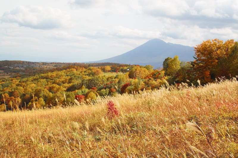 Mt. Iwate and colorful leaves in Hachimantai