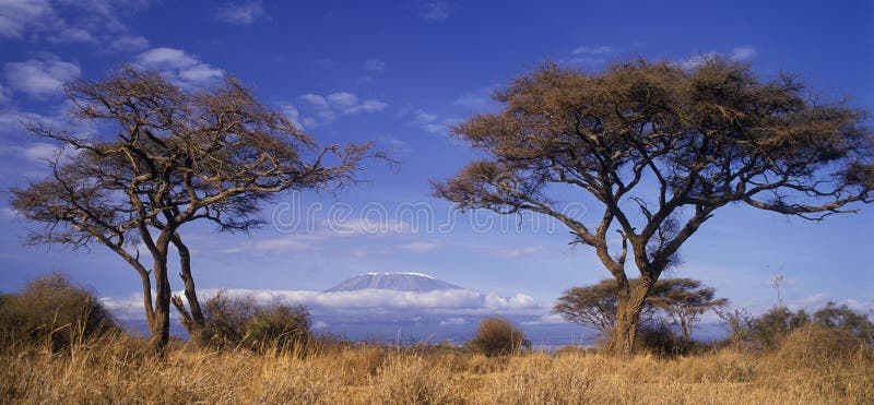Mt Kilimanjaro foto de archivo Mt Kilimanjaro foto de archivo
