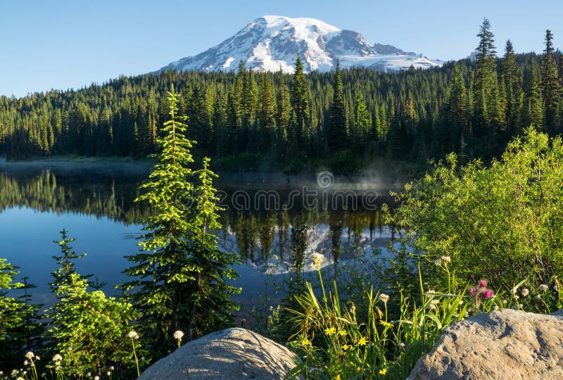 Mt Mañana del lago rainier Reflection foto de archivo libre de regalías Mt Mañana del lago rainier Reflection foto de archivo libre de regalías