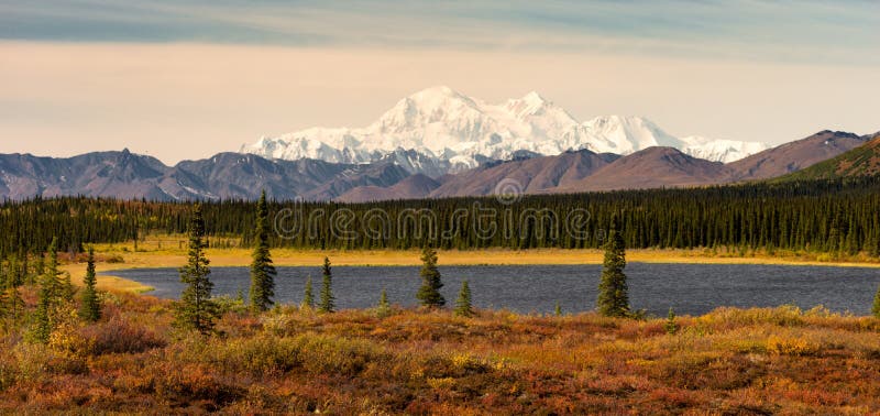 MT McKinley Alaska Noord-Amerika van de Denaliwaaier royalty-vrije stock fotografie MT McKinley Alaska Noord-Amerika van de Denaliwaaier royalty-vrije stock fotografie
