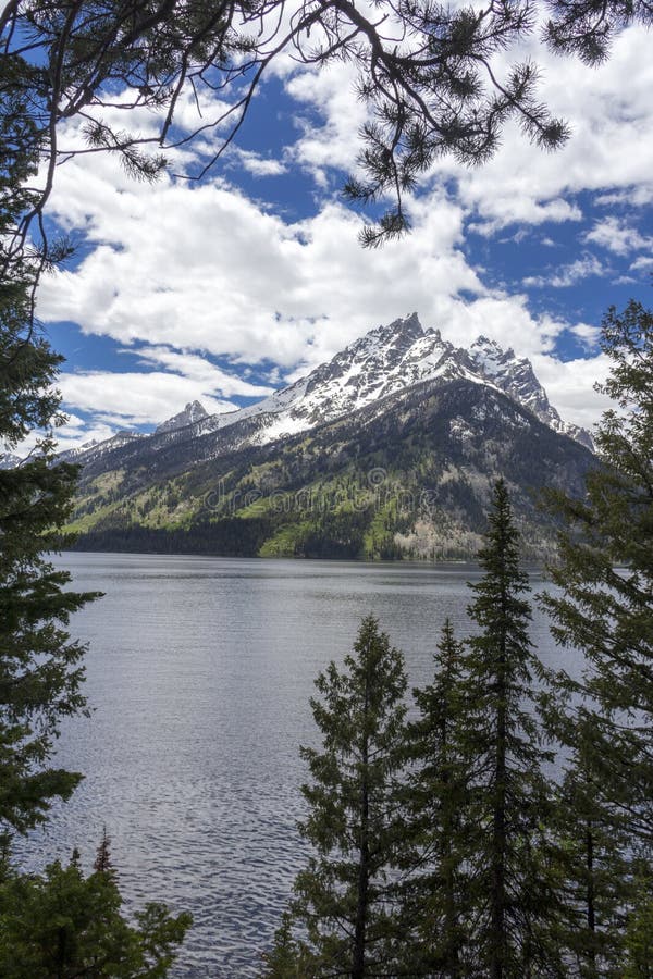 Mt Moran на грандиозном национальном парке Teton, Вайоминг стоковая фотография Mt Moran на грандиозном национальном парке Teton, Вайоминг стоковая фотография