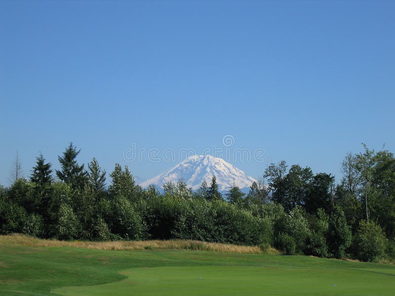 Download Mt. Rainer imagen de archivo. Imagen de hierba, putting - 175065