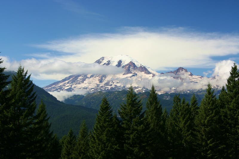 Mt. Rainier in July. stock photo. Image of vacation, national 742574