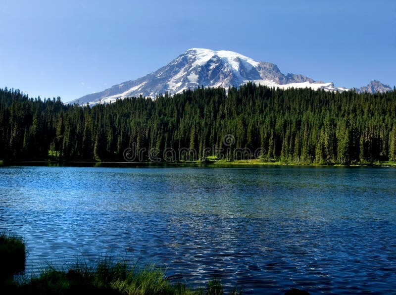 Mt. Rainier in July. stock photo. Image of vacation, national 742574