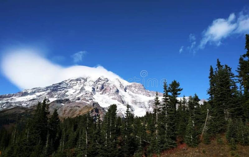 Mt Rainier, Debout Dans Le Vent, Le Vent Solitaire Image stock Image