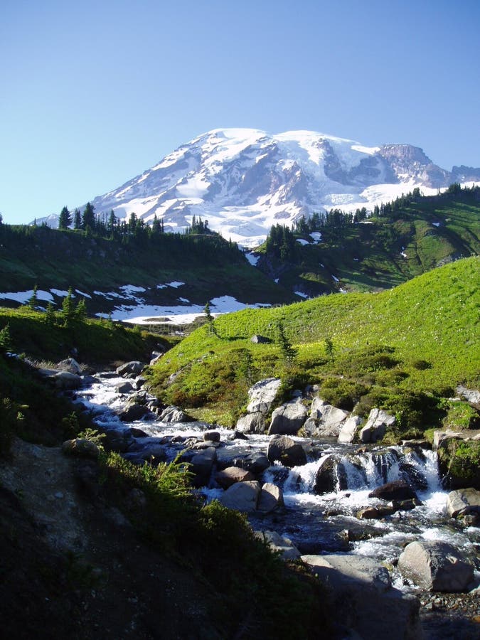 Mt Rainier National Park