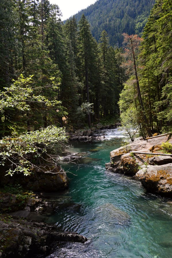 Mt Rainier National Park editorial stock photo. Image of national