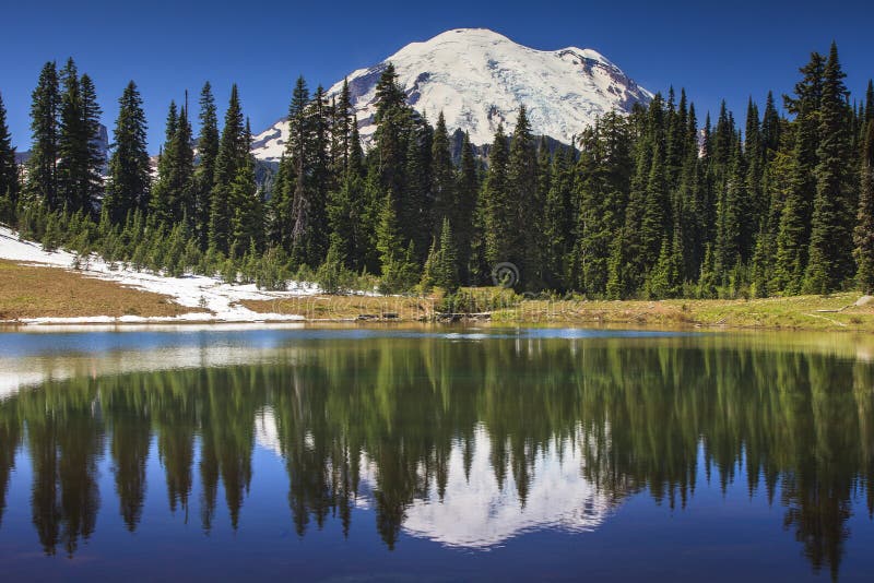 Mt. Rainier and Tipsoo Lake stock photos
