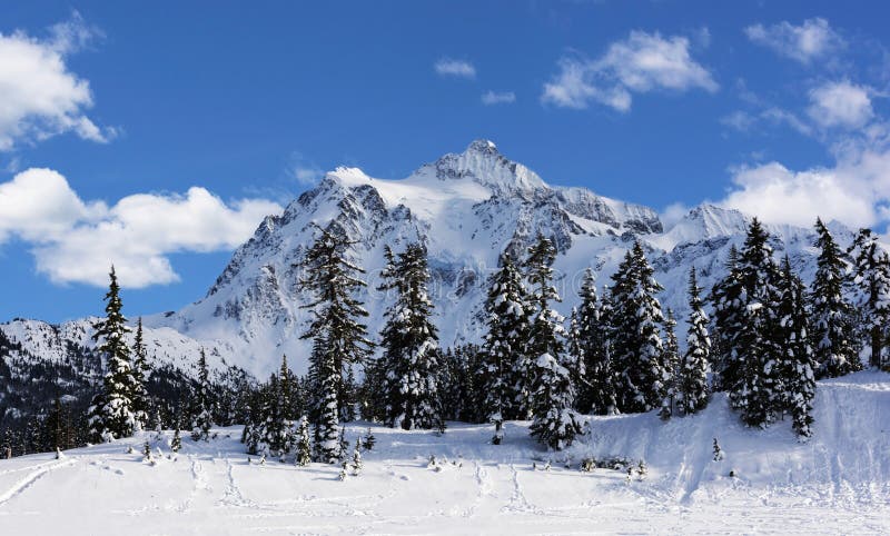 Mt Shuksan in Winter stock image. Image of area, winter - 85397809