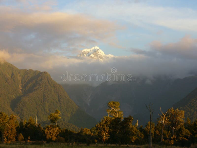 Mt Tasman