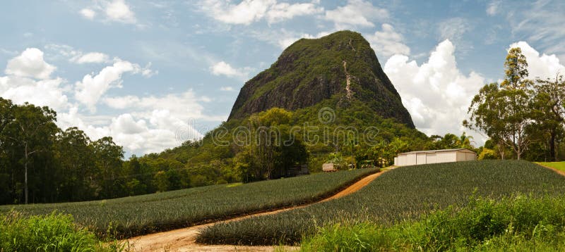Mt Tibrogargan fotos de stock Mt Tibrogargan fotos de stock