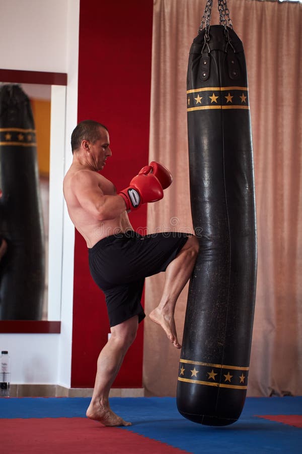 Muay Thai Fighter Working with Heavy Bag Stock Photo Image of martial