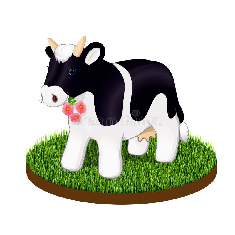 Mucca in bianco e nero. Mucche alpine in bianco e nero macchiate su un pezzo di terra con un prato inglese, erba verde Nello stile realistico, isolato su fondo bianco