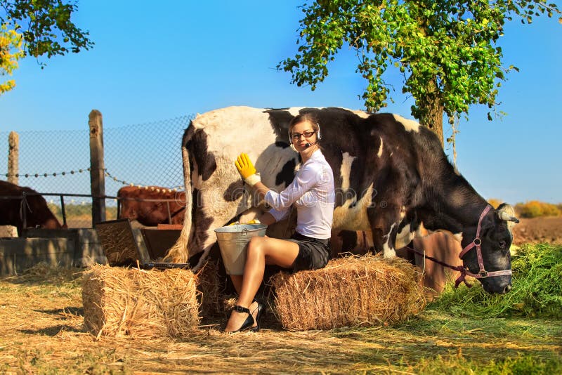 Download Mucca Di Mungitura Della Donna Immagine Stock - Immagine ...