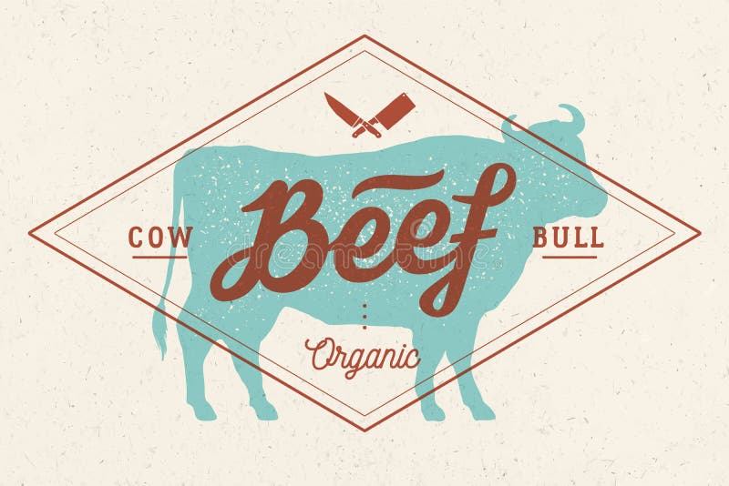 Mucca, toro, manzo Iscrizione d'annata, stampa retro, manifesto royalty illustrazione gratis Mucca, toro, manzo Iscrizione d'annata, stampa retro, manifesto royalty illustrazione gratis