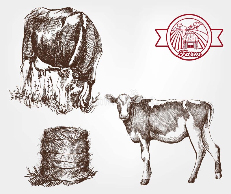 10 Campanelli Di Rame Per Pascolo Di Mucche, Cavalli E Pecore Animali Da Fattoria Rumorosi In Bronzo Piccoli In Ottone~p132081354