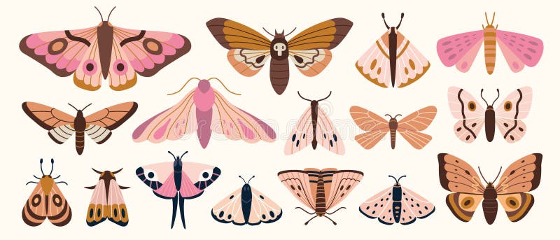 Mucche e farfalle con diverse farfalle in tavolozza di colore rosa. Raccolta di insetti nocturali. Vettore moderno alla moda illustrazione vettoriale