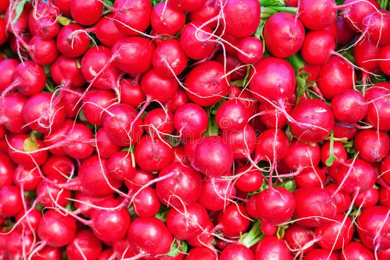 Mucchio dei ravanelli immagini stock Mucchio dei ravanelli immagini stock