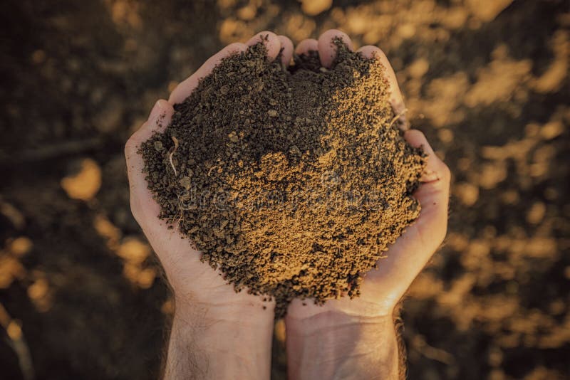 Mucchio della tenuta dell'agricoltore di suolo su terreno agricolo fertile immagini stock Mucchio della tenuta dell'agricoltore di suolo su terreno agricolo fertile immagini stock