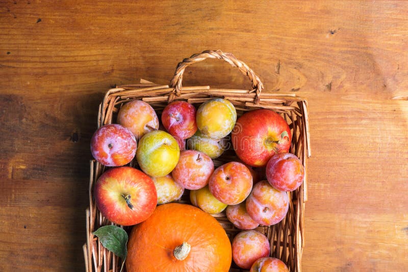 Mucchio della zucca verde gialla rossa di recente selezionata variopinta delle mele delle mirabelle delle prugne in canestro di v fotografie stock libere da diritti