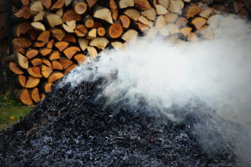 Mucchio delle foglie di combustione fotografia stock Mucchio delle foglie di combustione fotografia stock