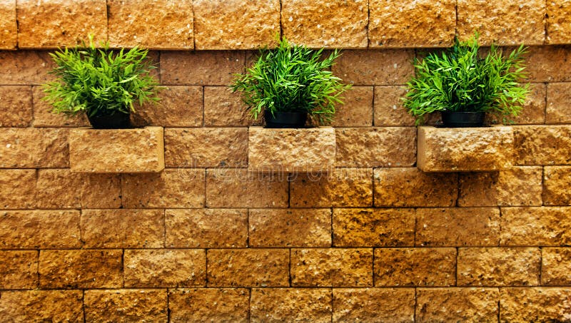 Mucchio tre di erba verde sul muro di mattoni fotografia stock libera da diritti Mucchio tre di erba verde sul muro di mattoni fotografia stock libera da diritti