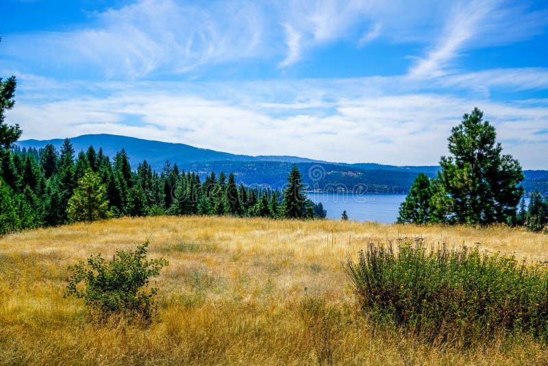 Mucha diversión familiar foto de archivo