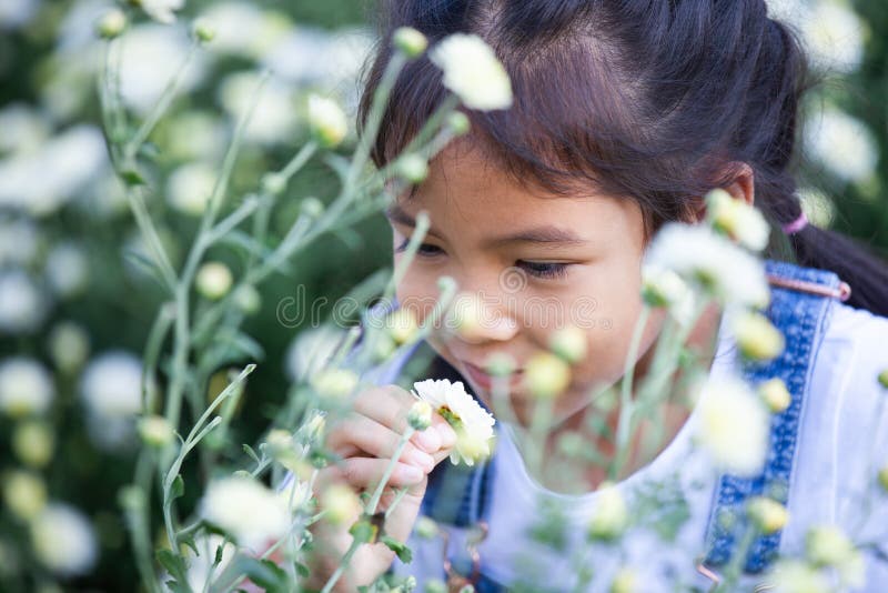 Muchacha asiática linda del niño que huele la flor hermosa fotografía de archivo Muchacha asiática linda del niño que huele la flor hermosa fotografía de archivo