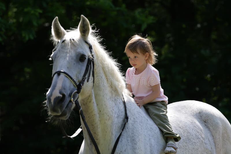 Little beauty intent girl riding bareback by gray beautiful big horse with black bridle. Animal is not in focus. Little beauty intent girl riding bareback by gray beautiful big horse with black bridle. Animal is not in focus.