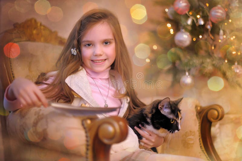 Girl with a cat in a chair at the Christmas tree. Girl with a cat in a chair at the Christmas tree