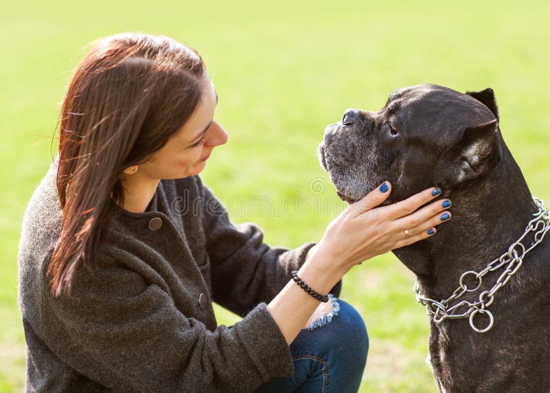 Muchacha en el parque que camina con su perro grande Cane Corso imagenes de archivo Muchacha en el parque que camina con su perro grande Cane Corso imagenes de archivo